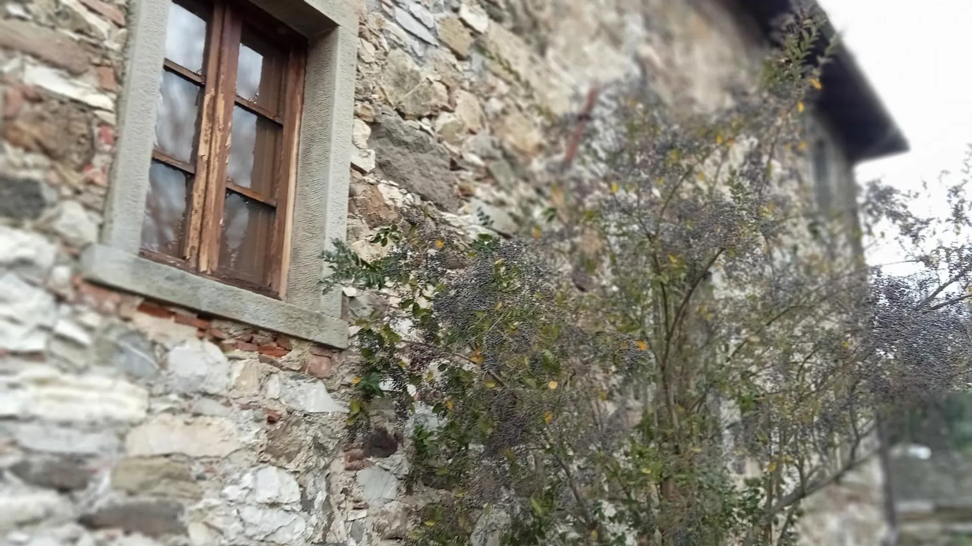 Bacciano Casa Vacanze Poggio  Country house